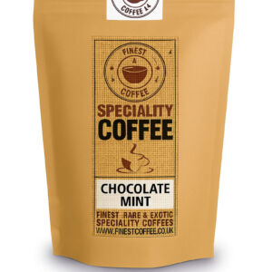 Chocloate Mint 1 1