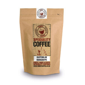 Guatemalan Maragogype Coffee Elephant Bean