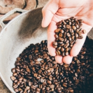 Speciality Coffees