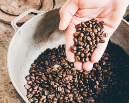 Speciality coffee beans representing premium and rare coffee selections